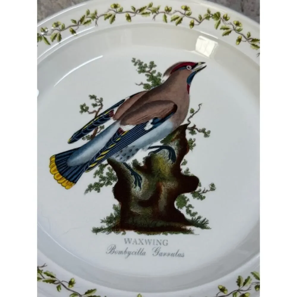 Vintage Portmeirion Birds Of Britain 8.5